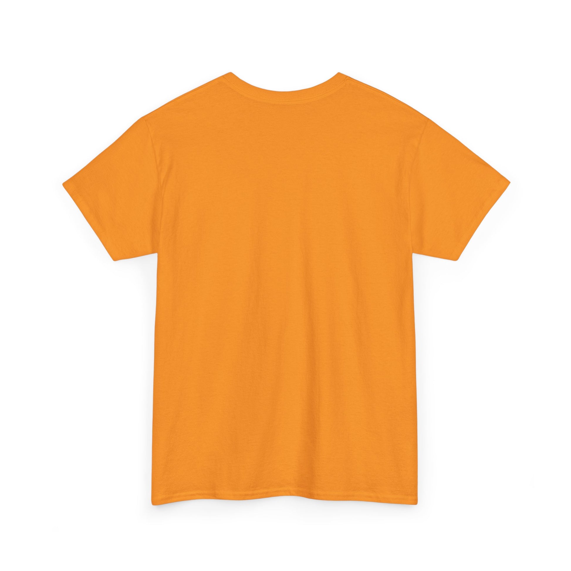 Playful Cat Claw Unisex Heavy Cotton Tee - Hanging Cat Panic - Tee Fusion Lab